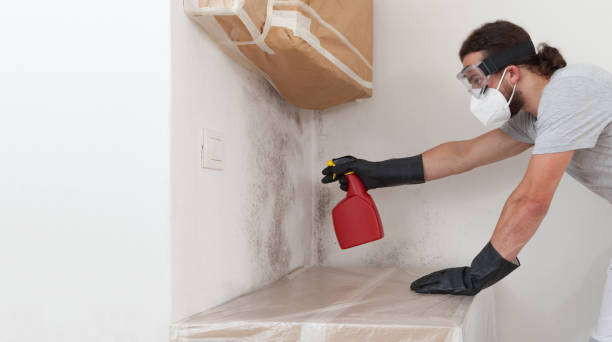 Professional Mold Removal technician working in Lowell, MI