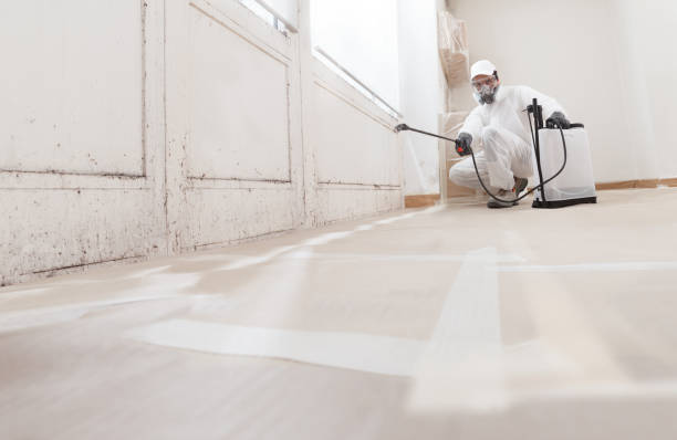 24/7 Emergency Mold Removal experts in Lowell, MI